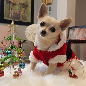 Meet your Posher, Tina